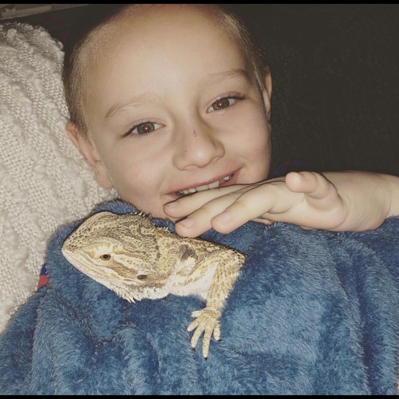 π π¦ Pet Friendly Home π π¦ - Picture 5 of 8